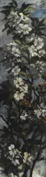 Apfelblüten